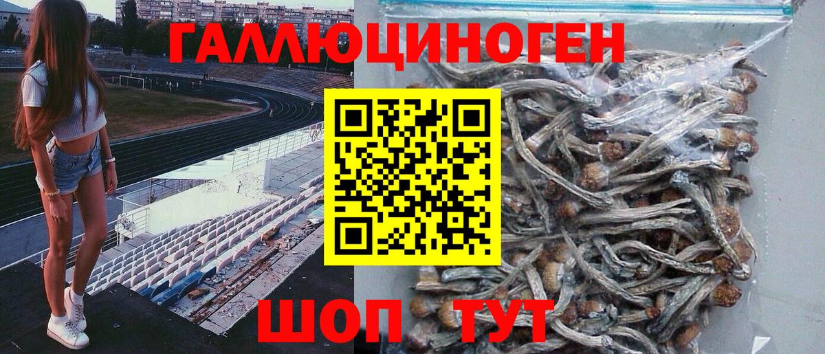 Псилоцибиновые грибы мухоморы  Псилоцибиновые грибы ЛСД  Казань  Вход с VPN 